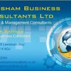 Business 4 image LEWISHAM BUSINESS CONSULTANTS LTD Secretarial Services in London Gr