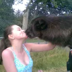 Business 3 image LIFE STRATEGIES THAT WORK Therapists in Reading Be