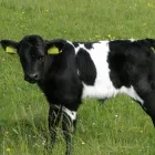 Business 6 image LILLEY'S PHARMACY & HEALTHCARE Pharmacies in Stockport Ch