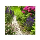 Business 1 image LITTLE BROWN MOUSE Advertising & Graphic Designers in SALE Ch