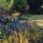 Business 1 image LITTLE STAR MEDIA PRODUCTION LTD Tv in Manchester La