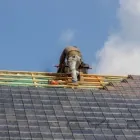 Business 3 image LIVERPOOL RELIABLE ROOFERS Roofing Contractors in Liverpool Me