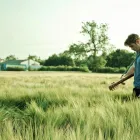 Business 3 image LLOYD WILLACY Tv in Manchester La