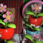 Business 2 image LLOYDS PHARMACY Pharmacies in Haddington Ea