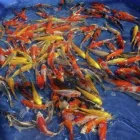 Business 1 image LOU TO CLEAN FOR YOU Domestic Cleaning in Bicester Ox