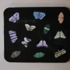 Business 2 image LOWE'S MARBLE & GRANITE - FRANCIS N LOWE LTD Marble & Granite Suppliers in Middleton La