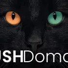 Business 1 image LUSH DOMAIN Web Hosting & Domain Name Registration in Farnham Su