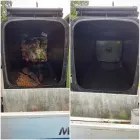 Business 6 image LUST FOR BINS Sandblasting Services in MITCHAM Gr