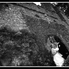 Business 8 image LYME GREEN COUNSELLING Counselling & Advice in Macclesfield Ch