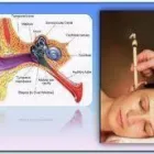 Business 2 image LYNX TECHNIK (UK) LTD Tv in Shepperton Mi