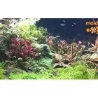 Business 1 image MAIDENHEAD AQUATICS OSTERLEY Shopping & Retail in Isleworth Mi