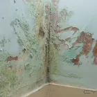 Business 2 image MANCHESTER DAMP PROOFING Roofing Contractors in Altrincham Ch