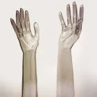 Business 4 image MARCHANTS NURSERY Horticultural Nurseries - Wholesale in WIMBORNE Do