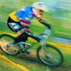 Business 1 image MARK BUCKLEY HAULAGE Road Haulage Services in Bicester Ox