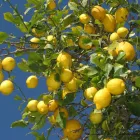 Business 1 image MAX SPIELMANN - HARBORNE, HIGH ST Printing Services in Birmingham We