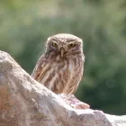 Business 1 image MAX SPIELMANN PHOTOGRAPHY AND PRINTING ALLERTON ROAD, TESCO Printing Services in Liverpool Me