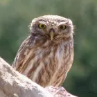 Business 2 image MAX SPIELMANN PHOTOGRAPHY AND PRINTING ALLERTON ROAD, TESCO Printing Services in Liverpool Me