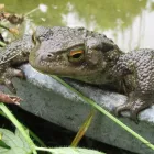 Business 4 image MAX SPIELMANN PHOTOGRAPHY AND PRINTING ALLERTON ROAD, TESCO Printing Services in Liverpool Me