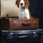 Business 5 image MCAULEY STUDIOS PHOTOGRAPHY Photography Studios & Labs in Stockport Gr