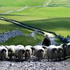 Business 17 image MCKEEVER'S NEWS Newsagents in Londonderry Co