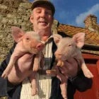 Business 9 image MCKEEVER'S NEWS Newsagents in Londonderry Co