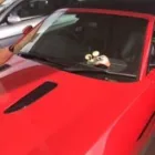 Business 16 image MCR WINDSCREENS Windscreen Repair & Replacement in Stockport Gr