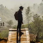 Business 6 image MEDIAT LAW Trusts & Estates Solicitors in London Gr