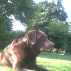 Business 4 image MEDILINK NORTHWEST Management & Business Consultants in Stockport Ch