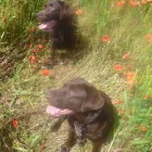 Business 1 image MEDILINK NORTHWEST Management & Business Consultants in Stockport Ch