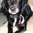 Business 3 image MEDILINK NORTHWEST Management & Business Consultants in Stockport Ch