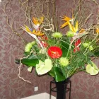 Business 8 image MERRYLEE PHARMACY Pharmacies in Glasgow La