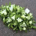 Business 12 image METHODIST HOMES FOR THE AGED Residential & Retirement Homes in Coventry We