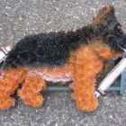 Business 4 image METHODIST HOMES FOR THE AGED Residential & Retirement Homes in Coventry We