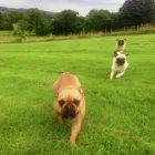 Business 5 image MICHELLE DUNNING SCHOOL OF MOTORING Driving Schools in Carlisle Cu