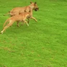 Business 1 image MICHELLE DUNNING SCHOOL OF MOTORING Driving Schools in Carlisle Cu