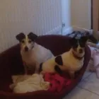 Business 2 image MICHELLE DUNNING SCHOOL OF MOTORING Driving Schools in Carlisle Cu