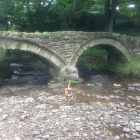 Business 7 image MICHELLE DUNNING SCHOOL OF MOTORING Driving Schools in Carlisle Cu