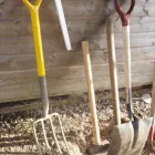 Business 2 image MISS SELFRIDGE Ladies Clothes Shops in Richmond Su