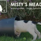 Business 5 image MISTY'S MEADOWS Wedding Services in UXBRIDGE Gr