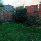 Business 3 image MKELLY GARDEN SERVICES Tree Services in Ferndown Do