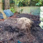 Business 6 image MKELLY GARDEN SERVICES Tree Services in Ferndown Do