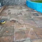 Business 10 image MKELLY GARDEN SERVICES Tree Services in Ferndown Do