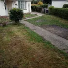 Business 15 image MKELLY GARDEN SERVICES Tree Services in Ferndown Do