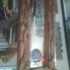 Business 4 image MM FRAMING Picture Framers & Frame Makers in Liverpool Me