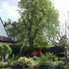 Business 7 image MORRISONS Supermarkets in London Gr