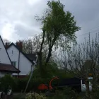 Business 5 image MORRISONS Supermarkets in London Gr