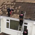 Business 13 image MOSS ROOFING Roofing Materials in Kenilworth Wa