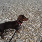 Business 3 image MOTOR WORLD Batteries in Ringwood Ha