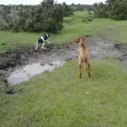 Business 4 image MOTOR WORLD Batteries in Ringwood Ha