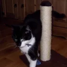 Business 1 image MOTOR WORLD Batteries in Ringwood Ha